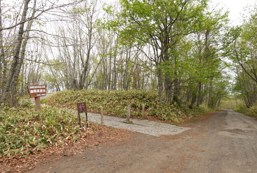 散歩（釧路湿原）・細岡展望台前