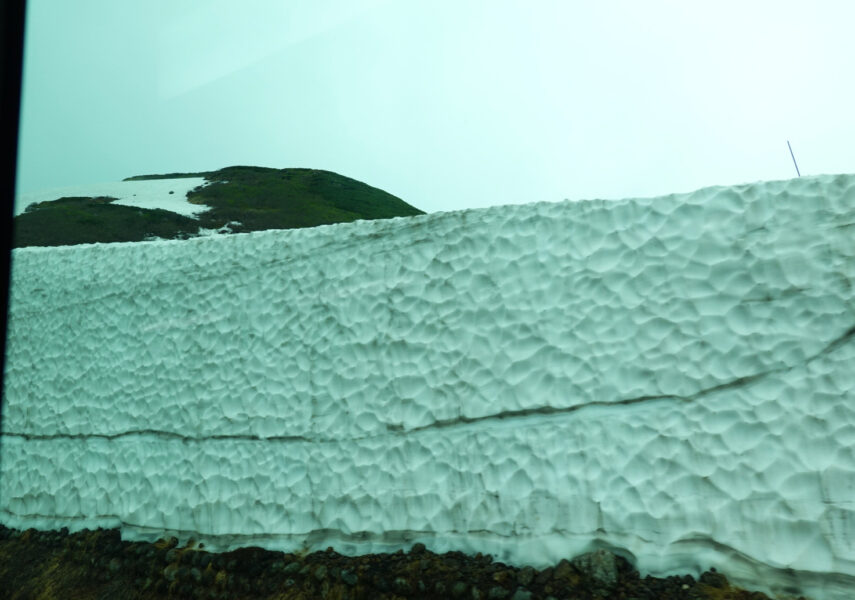 立山黒部アルペンルート（室堂行きバス）・雪の大谷