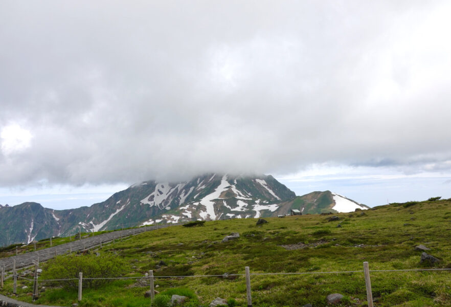 雷鳥沢