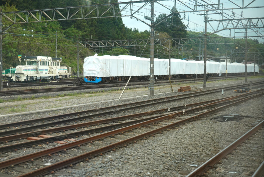 西武鉄道・特急ラビュー（横瀬駅）