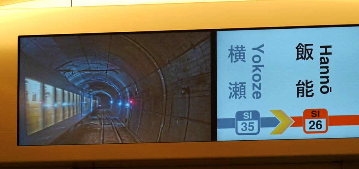西武鉄道・特急ラビュー（正丸トンネル信号場）