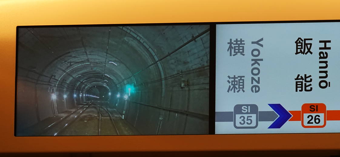 西武鉄道・特急ラビュー（正丸トンネル）