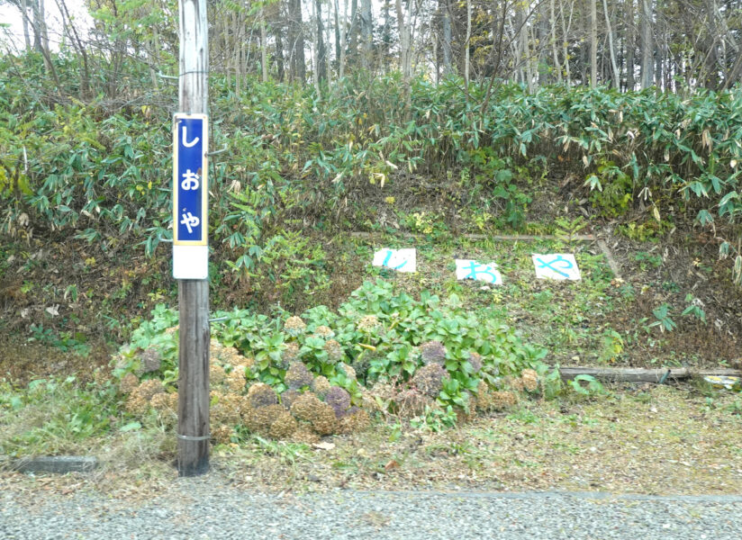 塩谷駅停車中