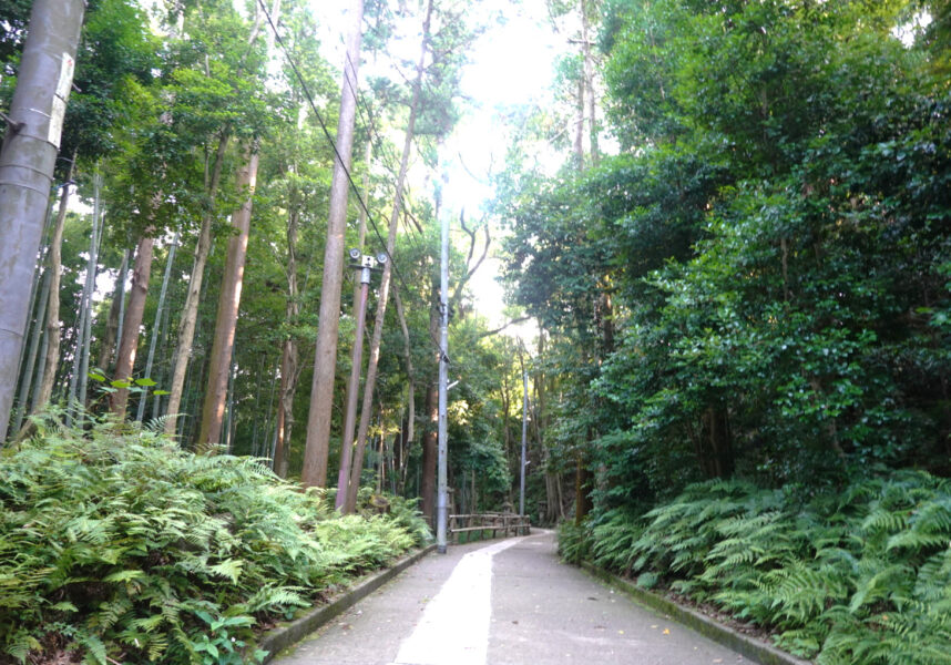 男山展望台～石清水八幡宮