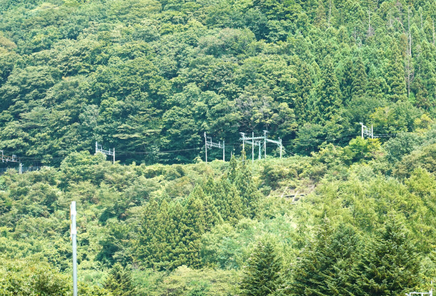 山の上にある下り線の架線