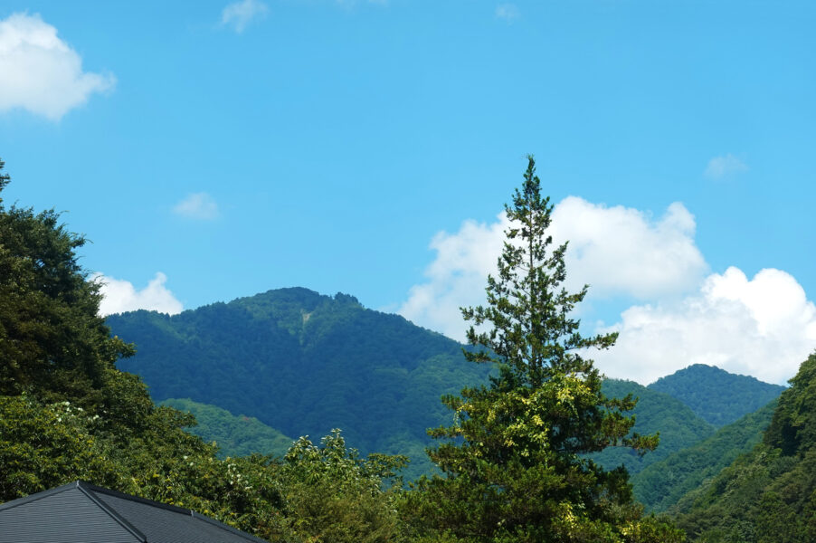 湯檜曽駅前から見える山
