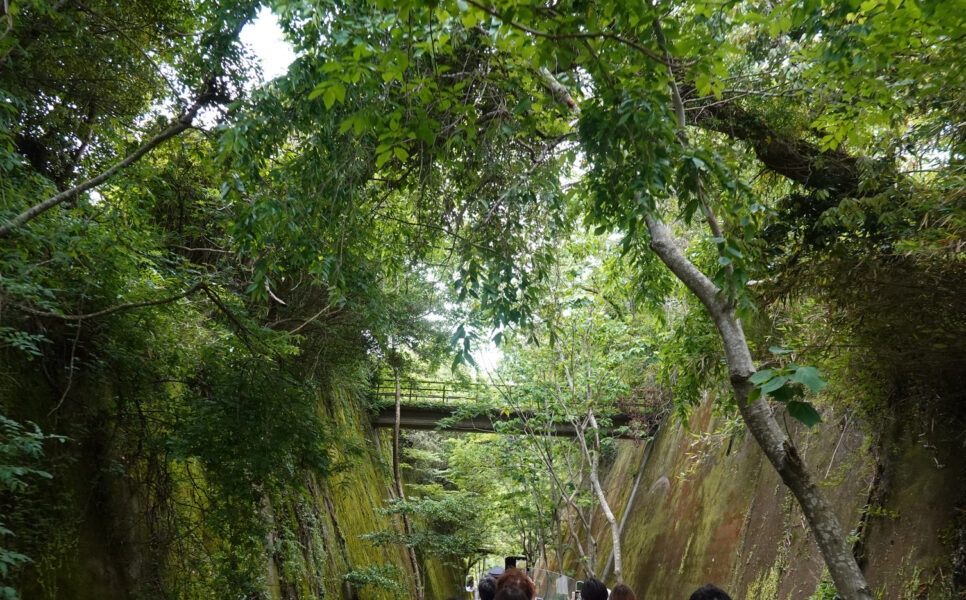 木のトンネル（高千穂あまてらす鉄道）