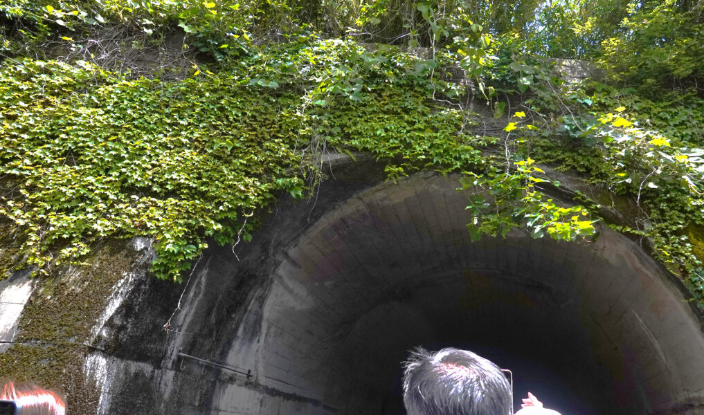 トンネル（あまてらす鉄道）